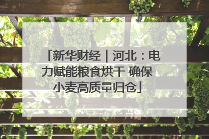 新华财经｜河北：电力赋能粮食烘干 确保小麦高质量归仓